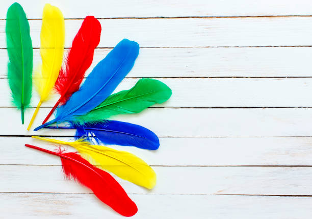 istock Beautiful multicolored feathers on a white wooden background 671644870