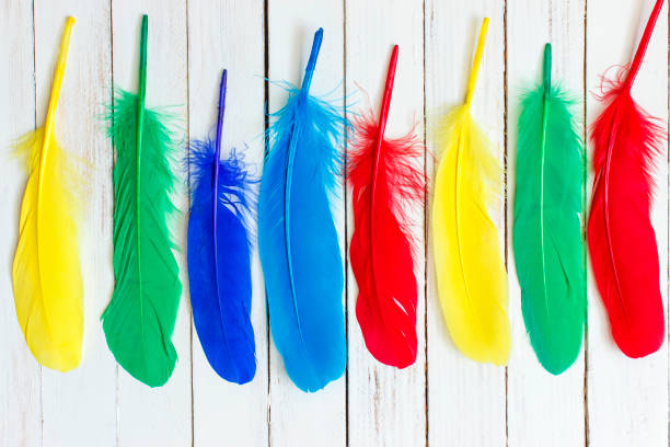istock Beautiful multicolored feathers on a white wooden background 671644968