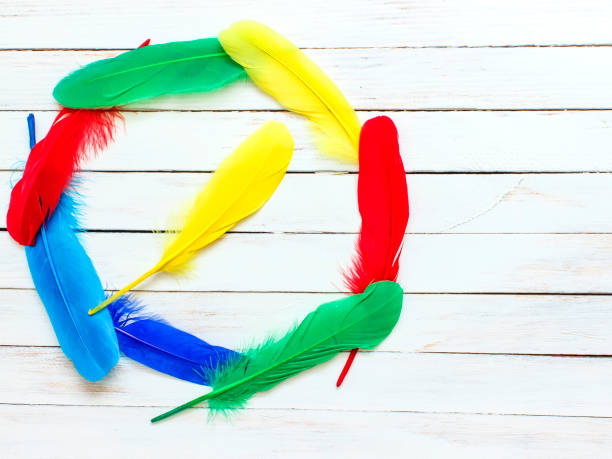 istock Beautiful multicolored feathers on a white wooden background 671645154