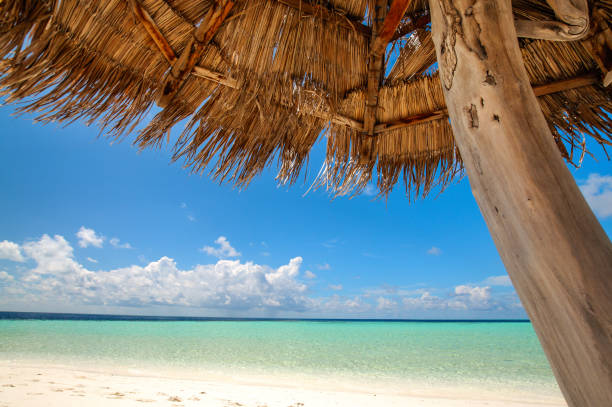 istock Beautiful tropical view: beach in Maldives 671649388