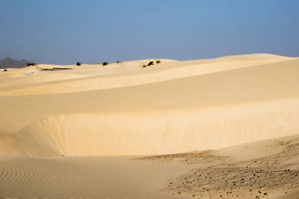 istock Sand desert in Cape Verdi 671649436