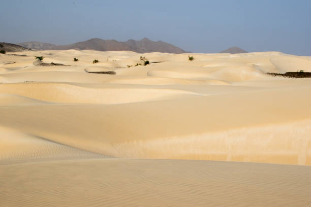 istock Sand desert in Cape Verdi 671649552