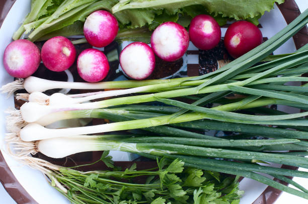 istock Plate with different food. Green onion close-up 671656730