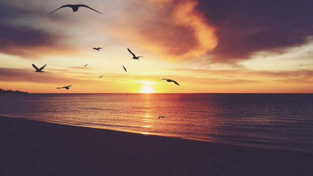 istock Golden vintage sunset at Frankston beach, Melbourne, Australia 671656948