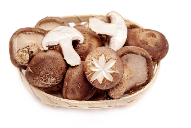istock Shiitake mushroom on the White background 671662428