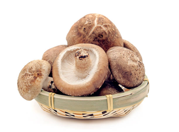 istock Shiitake mushroom on the White background 671663062