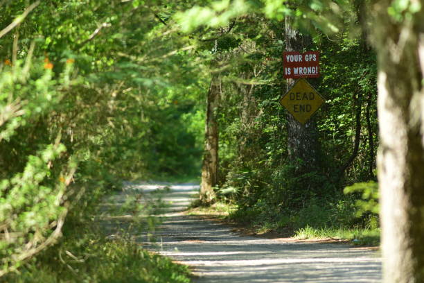 istock Winding dirt road though forested area with 