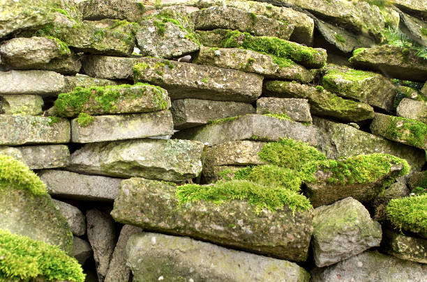 istock Old rocks with fresh green moss, natural texture background 671673624
