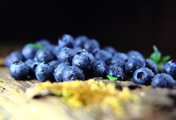 blueberry on the stump blueberries on a stump with drops of water роса stock pictures, royalty-free photos & images