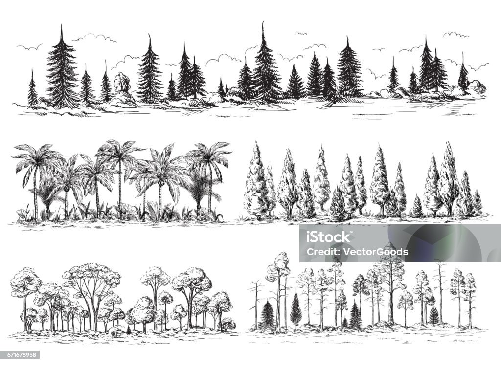 set of different landscapes with trees set of different landscapes with trees forest silhouettes with coniferous and deciduous exotic palm trees American redwoods hand drawn vector illustration Sketch design. Forest stock vector