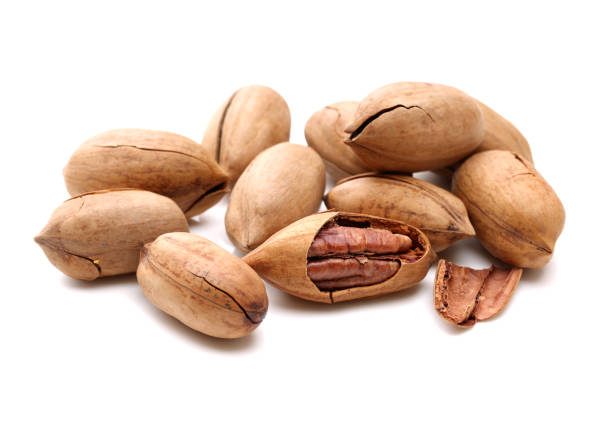 istock A group of pecan nuts on a white background 671679120