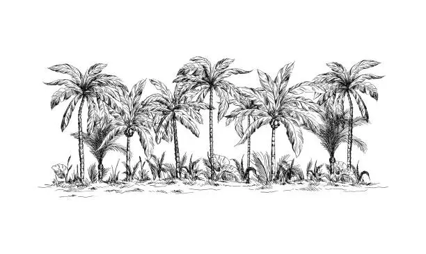 Vector illustration of panoramic view of the forest from palm trees