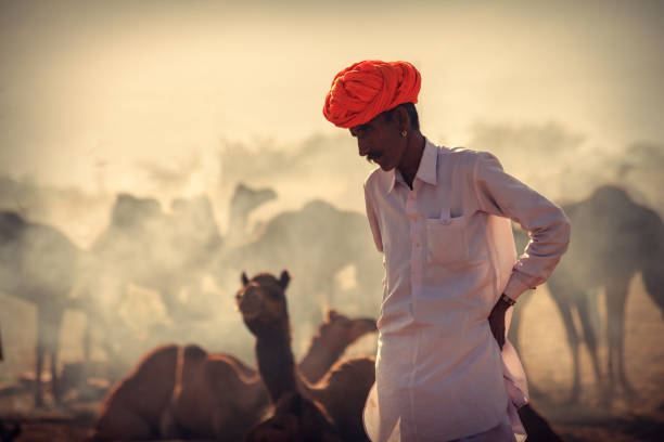 プシュカル ラクダ フェアでラクダの彼の群れでインド ラージャス ターン州男 - camel fair ストックフォトと画像