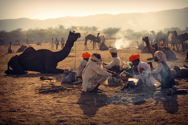 プシュカル ラクダ フェアでラクダとインド ラージャス ターン遊牧民のグループ - camel fair ストックフォトと画像