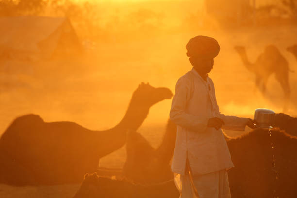 プシュカル ラクダ公平な場所で彼のネイティブの服装でインド ラージャス ターン州農村男 - camel fair ストックフォトと画像