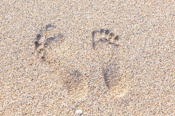 istock footsteps at the beach in the sand 671683020