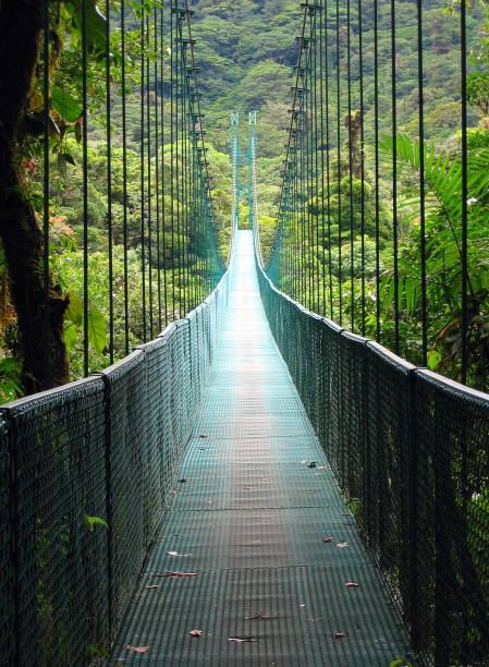 istock Tropical nature in a Costa Rican landscape 671687106