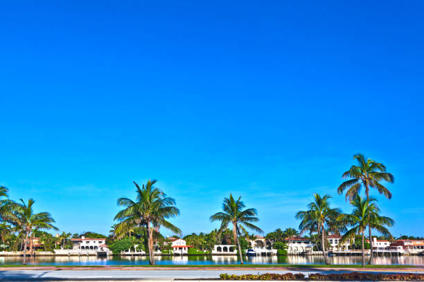 istock beautiful houses in South Miami with ocean access 671689982