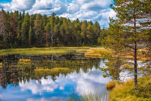 istock Idyllic summer landscape with clear lake in Finland 671692844