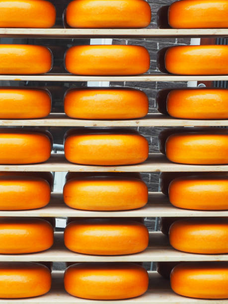 istock Tasty cheese on shelves 671702802