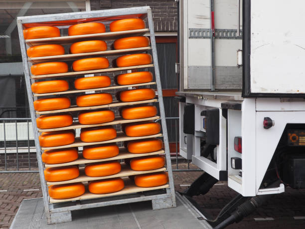 Transportation of a carrier cheese into a truck Famous dutch cheese market cheese market stock pictures, royalty-free photos & images