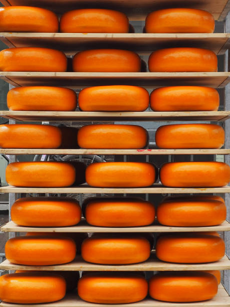 istock Tasty cheese on shelves 671703140