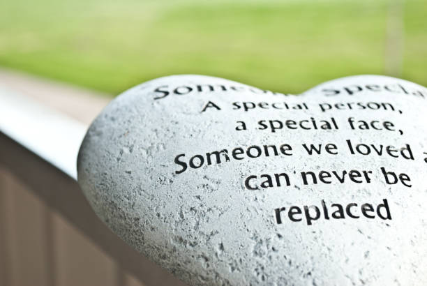 A special someone heart shaped stone. stock photo