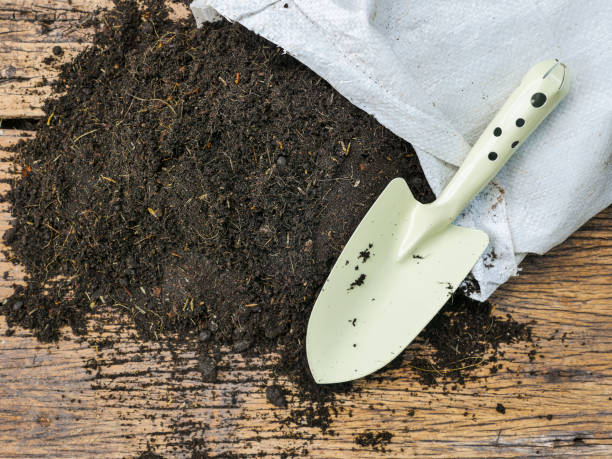 Organic soil with bag for planting on wood background stock photo