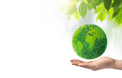 Green Earth In Hand On White Background Stock Photo - Download Image Now -  Global, April, Concepts & Topics - iStock