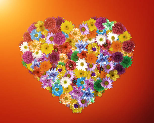 istock Flower arrangement is Heart-shaped 671723952