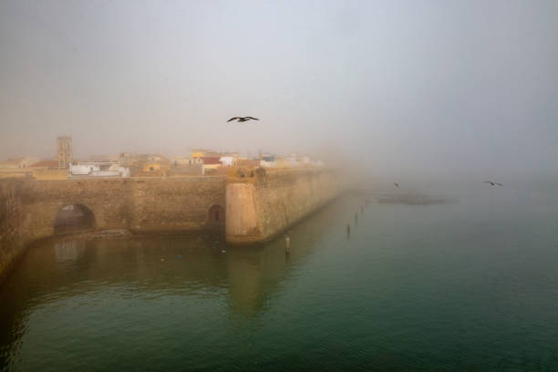 festung wände el jadida, marokko - el jadida stock-fotos und bilder