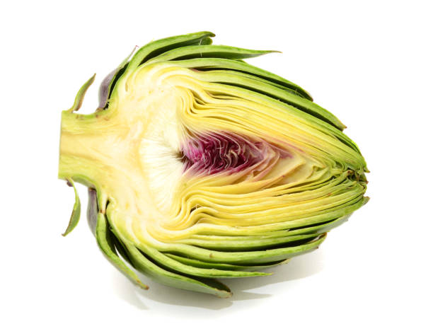Fresh Artichokes isolated on white background Fresh Artichokes isolated on white background artichoke stock pictures, royalty-free photos & images