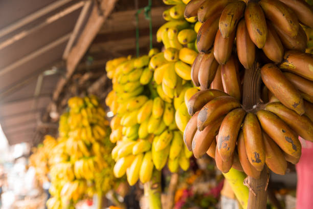 istock Bananas bunch in fruit shop on sri lanka 671750302
