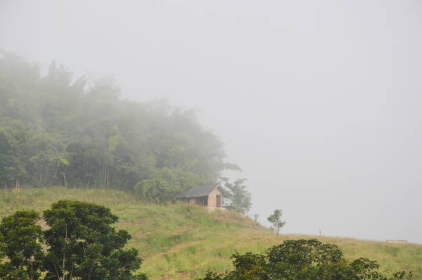 istock bamboo hut on hill cover by mist 671750690
