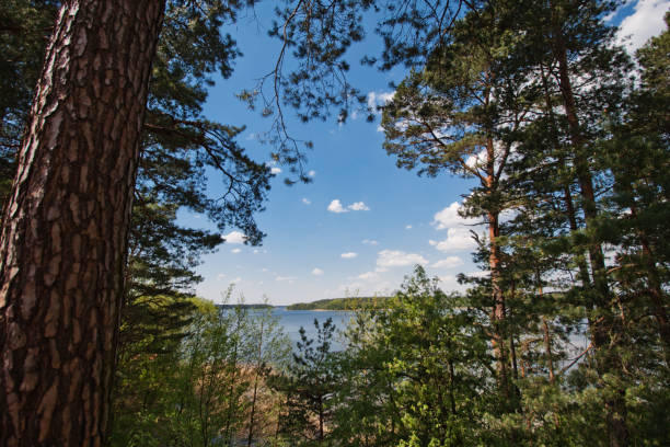 istock Big lake behind the forest 671764214