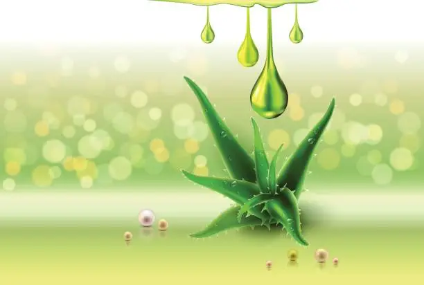 Vector illustration of Aloe vera green perls, oil drops, green shiny sparkles