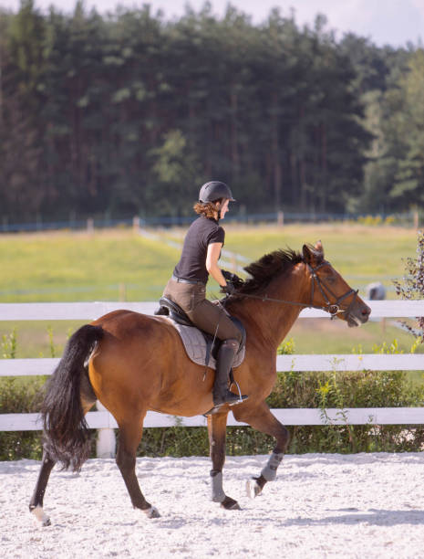 istock Woman Riding a Horse in Jumper Ring 671770068