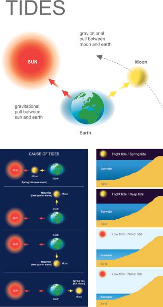 Tides seawater. Tides are the rise and fall of sea levels caused by the combined effects of the gravitational forces exerted by the Moon and the Sun and the rotation of the Earth. Vector graphic. high energy physics stock illustrations