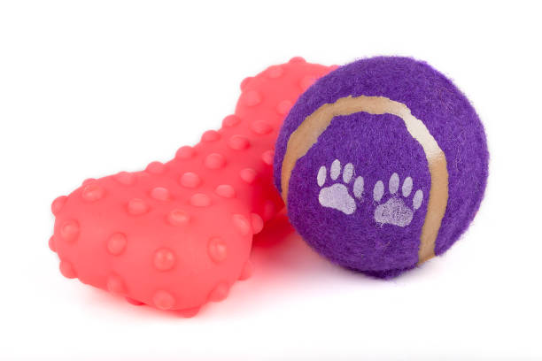 Blue Bone rubber toy for dog isolated on white background.