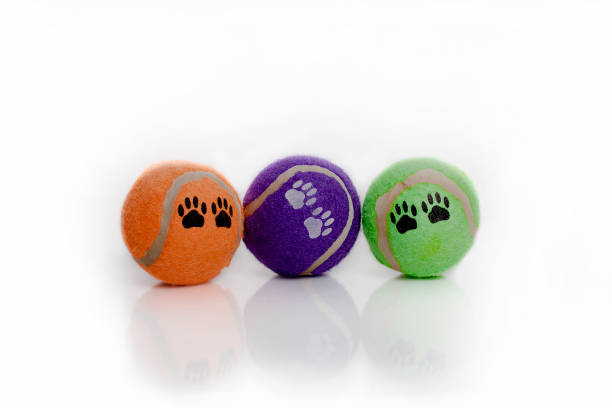 istock Dog toys 671776658