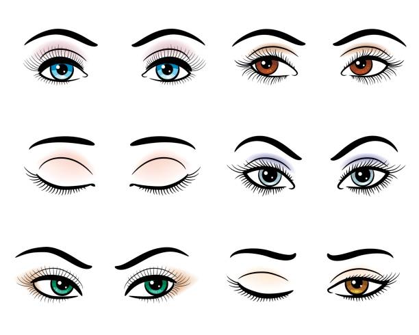 Maquillaje Ojos Vectores Libres de Derechos - iStock