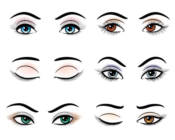 illustrazioni stock, clip art, cartoni animati e icone di tendenza di occhi aperti e chiusi della donna - make up brush make up fashion equipment