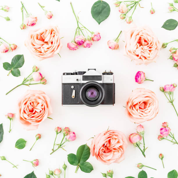 istock Round frame with pink roses and Old retro camera on white background. Flat lay, top view. Floral background. 671779668
