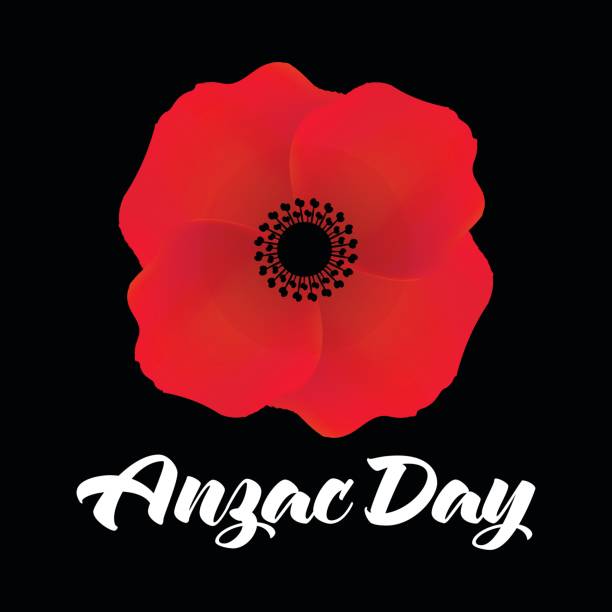 istock Vector illustration of a bright poppy flower. Anzac day symbol. 671779716