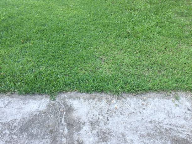 istock green grass and concrete at walking way on ground 671779766