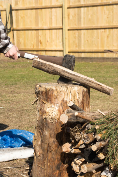 istock teen splitting wood 671780326