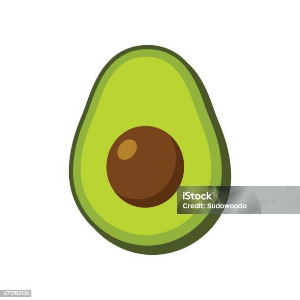 Vector Isolated Avocado Stock Illustration - Download Image Now - Avocado, Illustration, Vector