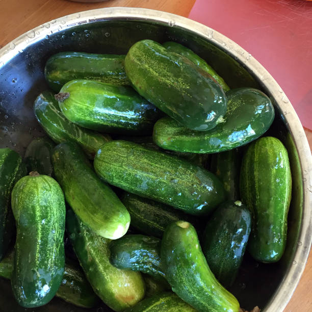istock Close Up of a Silver Bowl Filled with Cucumbers 671783942