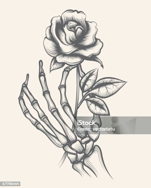 Skeleton Hands With Rose Flower Stock Illustration - Download Image Now - Human Skeleton, Hand, Rose - Flower