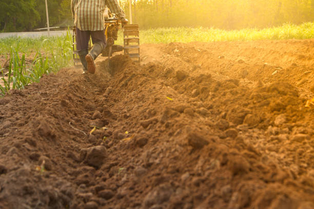 istock Man working in the garden with garden tiller. 671789700